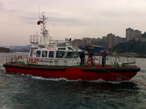 BAYRAK 1