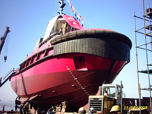 SD SHARK